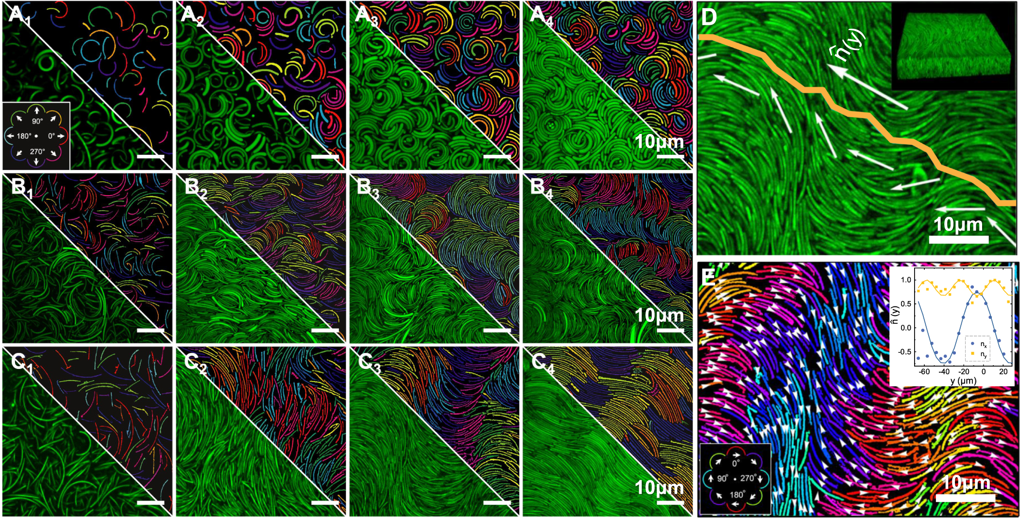 Liquid crystals from curved colloidal rods: waves, twists and more ...