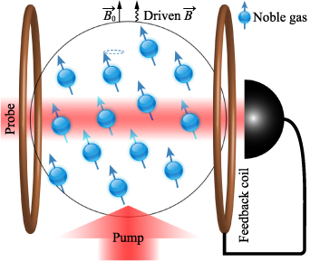 Searches for exotic spin-dependent interactions with spin