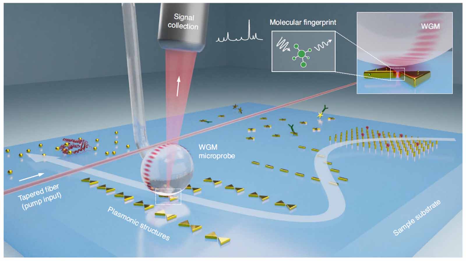 Whispering gallery mode optical resonators for biological and chemical ...