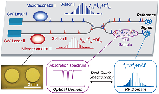 Whispering gallery mode optical resonators for biological and chemical ...