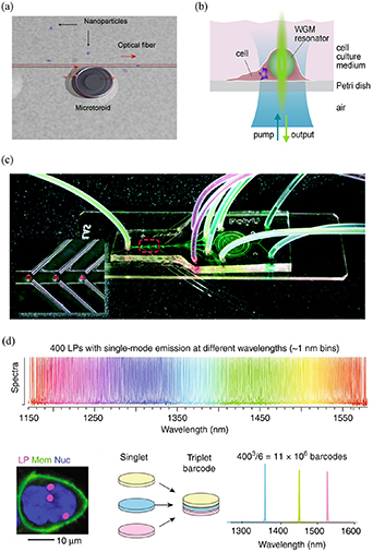 Whispering gallery mode optical resonators for biological and chemical ...