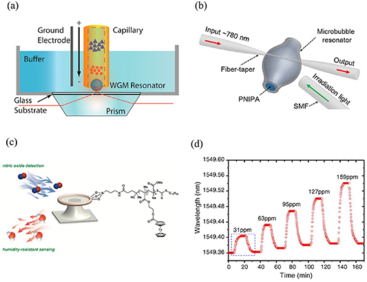 Whispering gallery mode optical resonators for biological and chemical ...