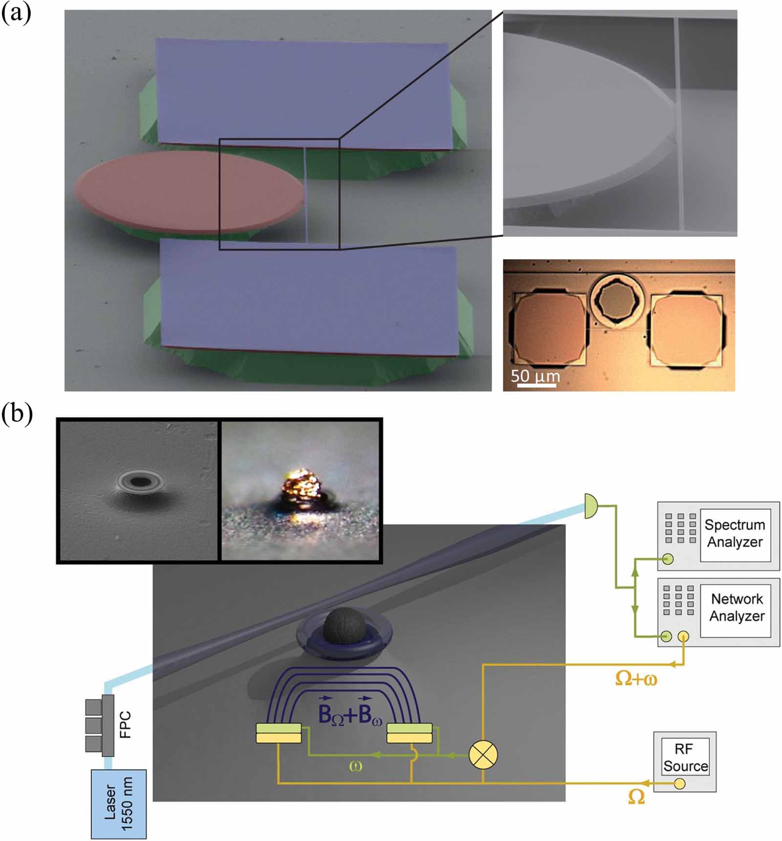 Whispering gallery mode optical resonators for biological and chemical ...