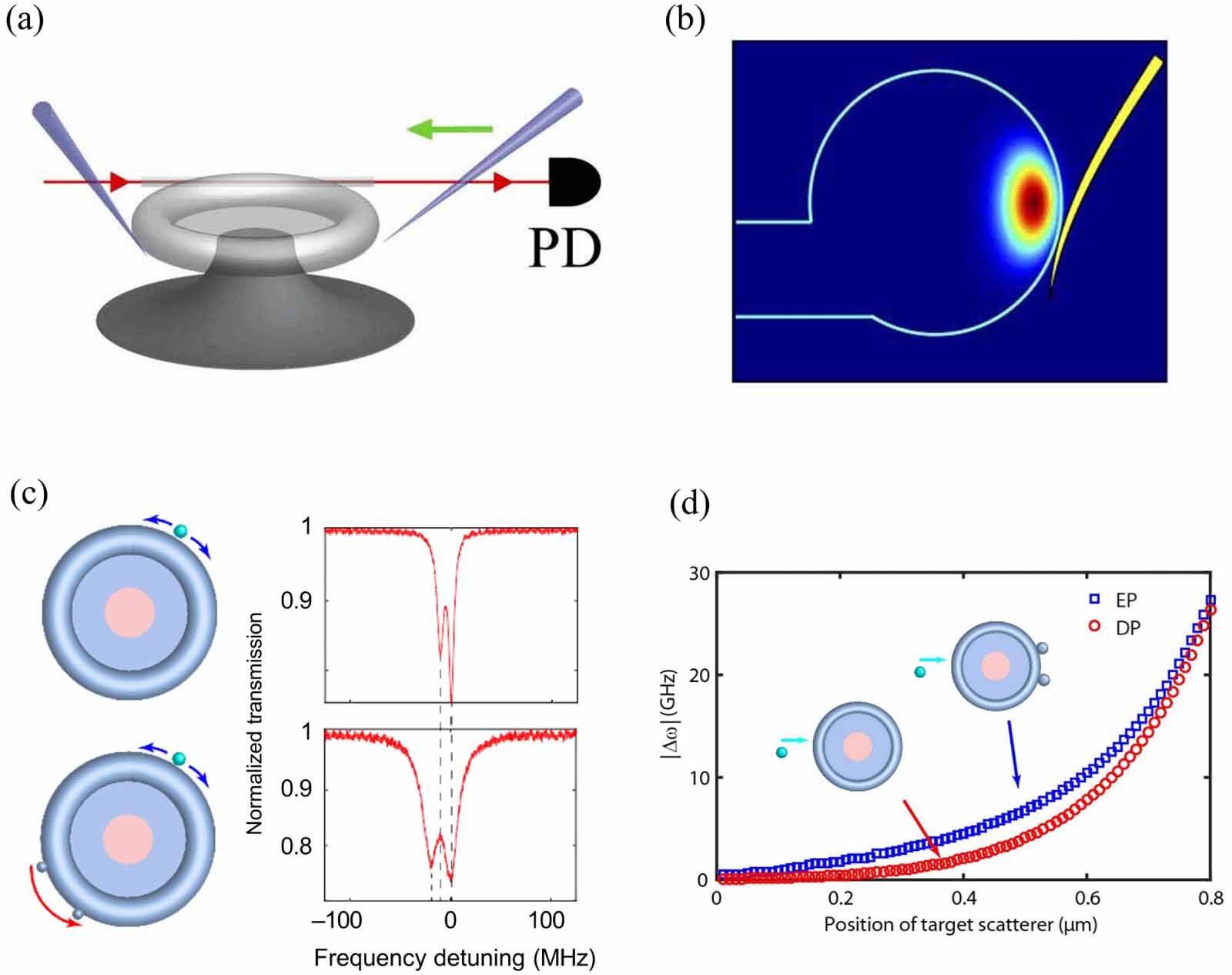 Whispering gallery mode optical resonators for biological and chemical ...