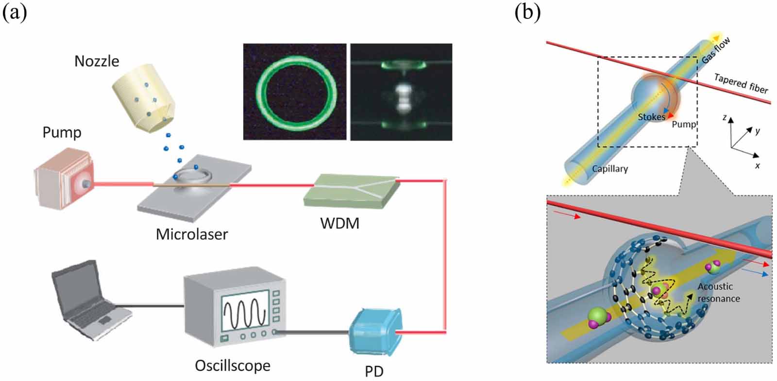 Whispering gallery mode optical resonators for biological and chemical ...
