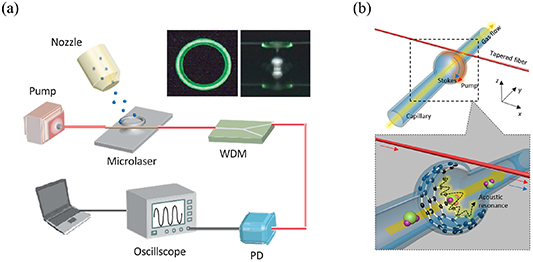 Whispering gallery mode optical resonators for biological and chemical ...