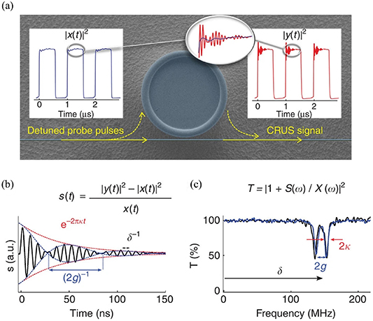 Whispering gallery mode optical resonators for biological and chemical ...