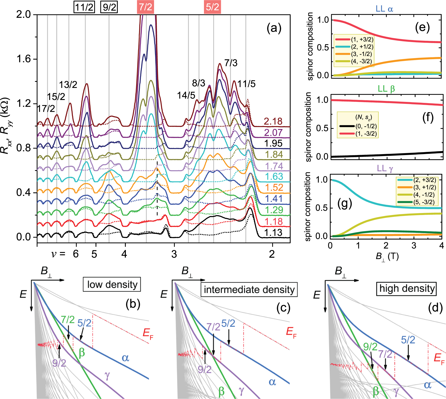 Even-denominator fractional quantum Hall states with spontaneously