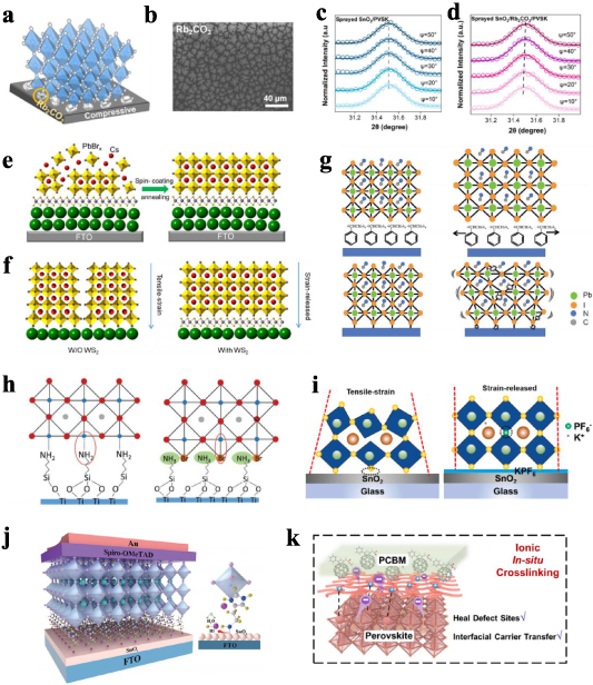 Strain regulation by interface engineering in perovskite solar