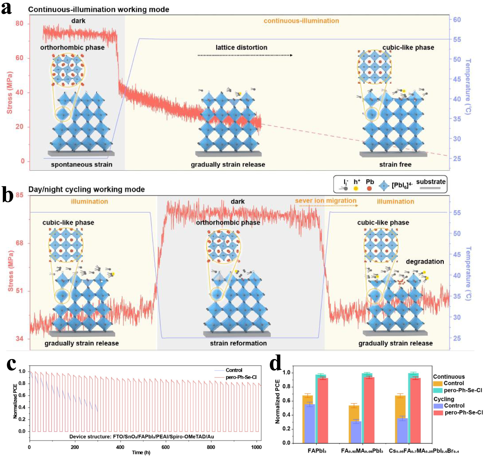 Strain regulation by interface engineering in perovskite solar