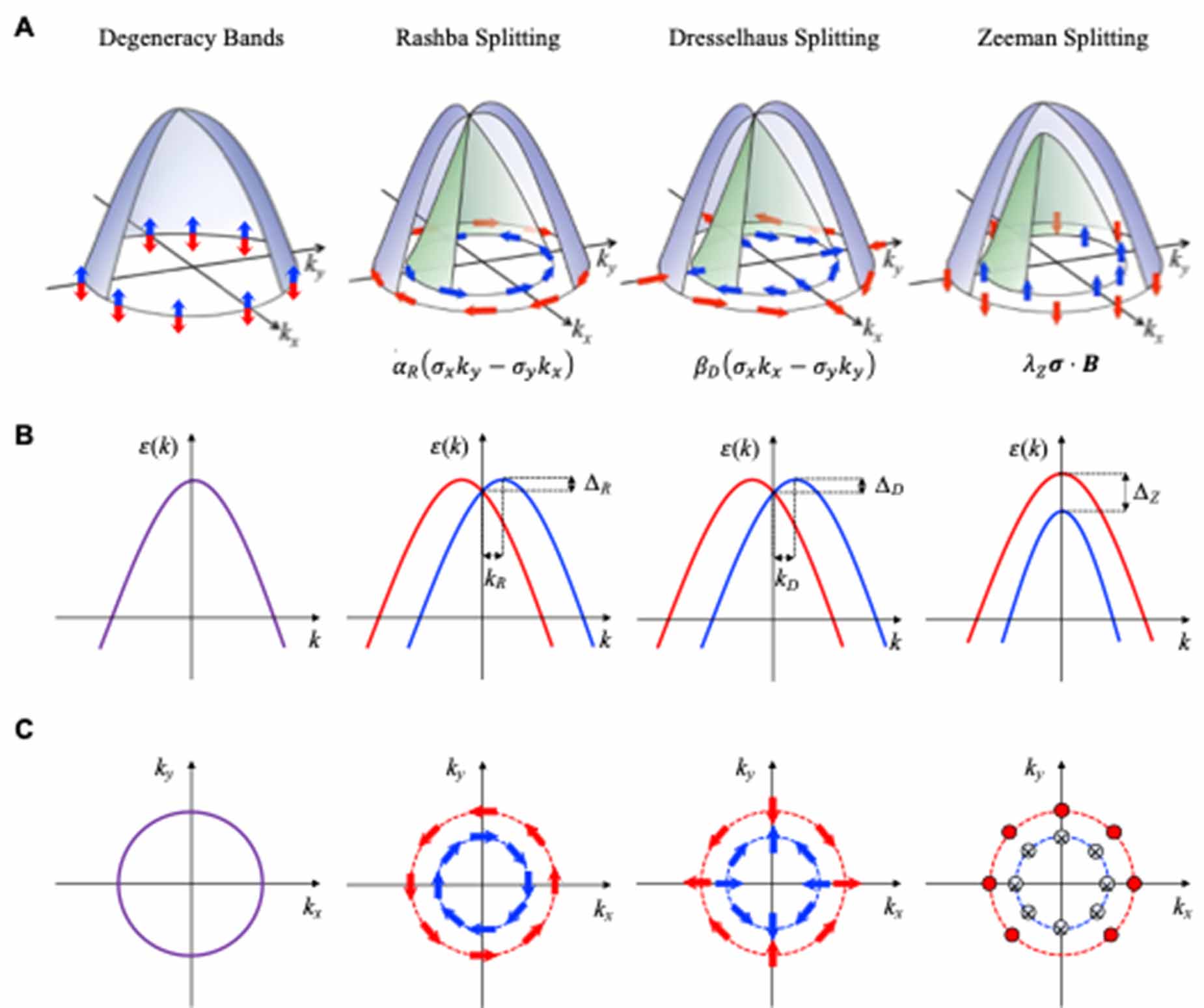 Spin-momentum locking in locally noncentrosymmetric quantum