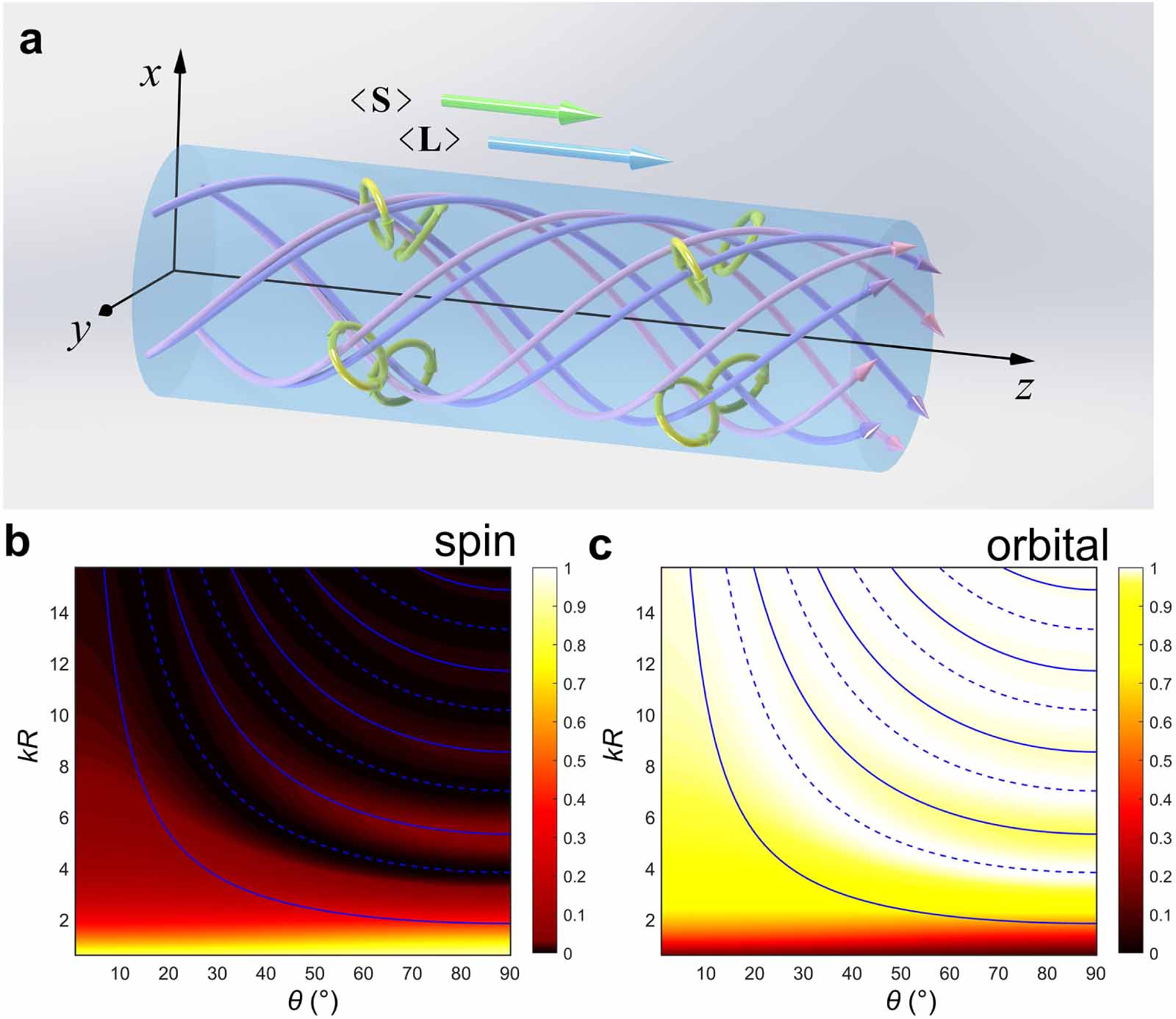 Longitudinal acoustic spin and global spin–orbit interaction in vortex ...