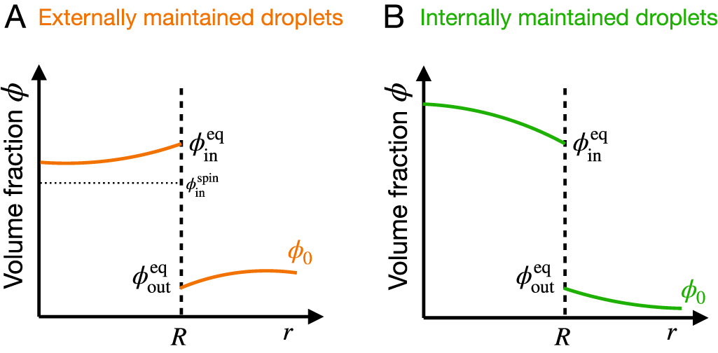 Physics of droplet regulation in biological cells - IOPscience