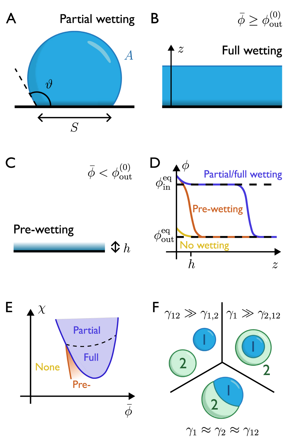 Physics of droplet regulation in biological cells - IOPscience