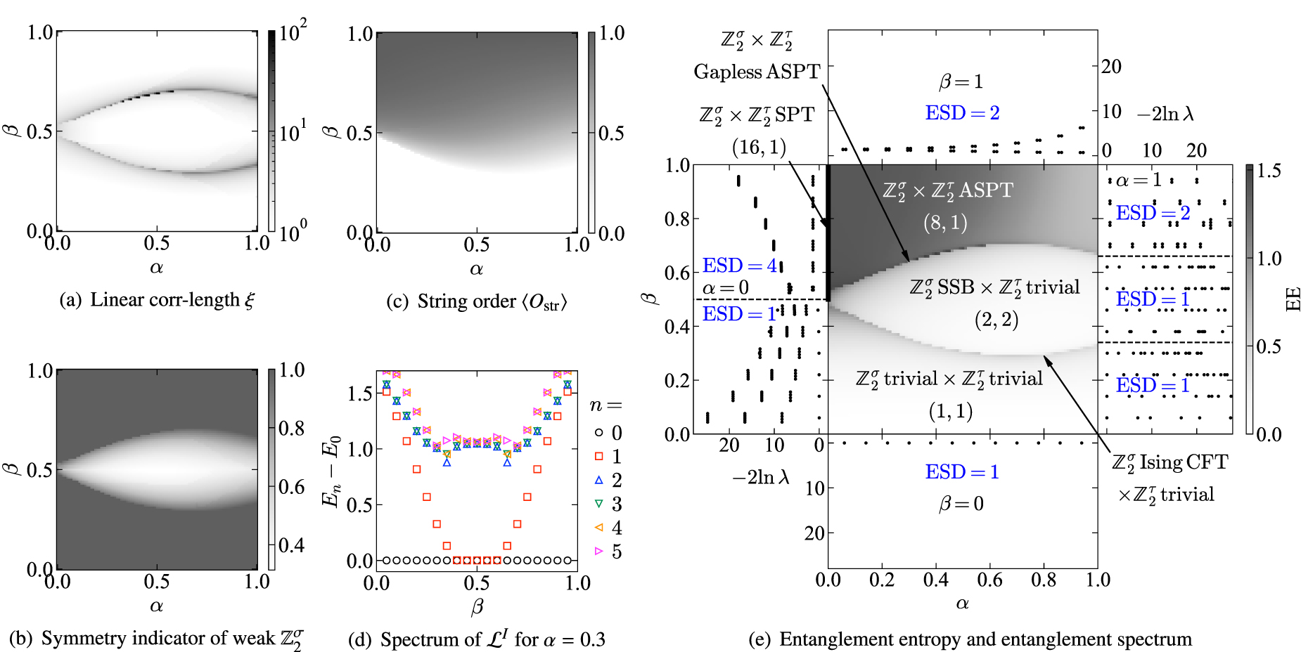 A new framework for quantum phases in open systems: steady state of ...