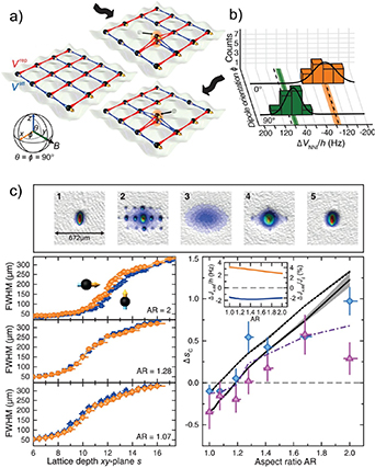 Recent progress on quantum simulations of non-standard Bose