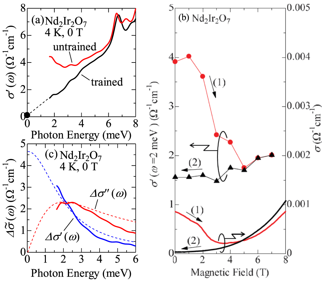 2つセット Webike | PLEASURE プレジャー トップボックス Ninja ZX-14R