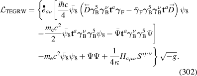 Equation (302)