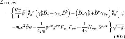 Equation (305)