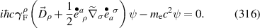 Equation (316)
