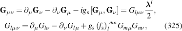 Equation (325)
