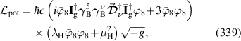 Equation (339)