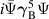 $i\bar{\Psi}\boldsymbol{\gamma}_\mathrm{B}^5\Psi$