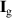 $\mathbf{I}_\mathrm{g}$