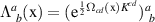 $\Lambda_{\;\,b}^a(\mathrm{x}) = (\mathrm e^{\frac{1}{2}\Omega_{cd}(\mathrm{x})K^{cd}})_{\;\,b}^a$
