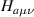 $H_{a\mu\nu}$