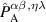 $\hat{P}_\mathrm{A}^{\alpha\beta,\eta\lambda}$