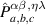 $\hat{P}_{a,b,c}^{\alpha\beta,\eta\lambda}$