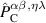 $\hat{P}_\mathrm{C}^{\alpha\beta,\eta\lambda}$