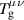 $T_\mathrm{g}^{\kern0.08ex\mu\nu}$