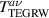 $T_\mathrm{TEGRW}^{\kern0.16ex a\nu}$