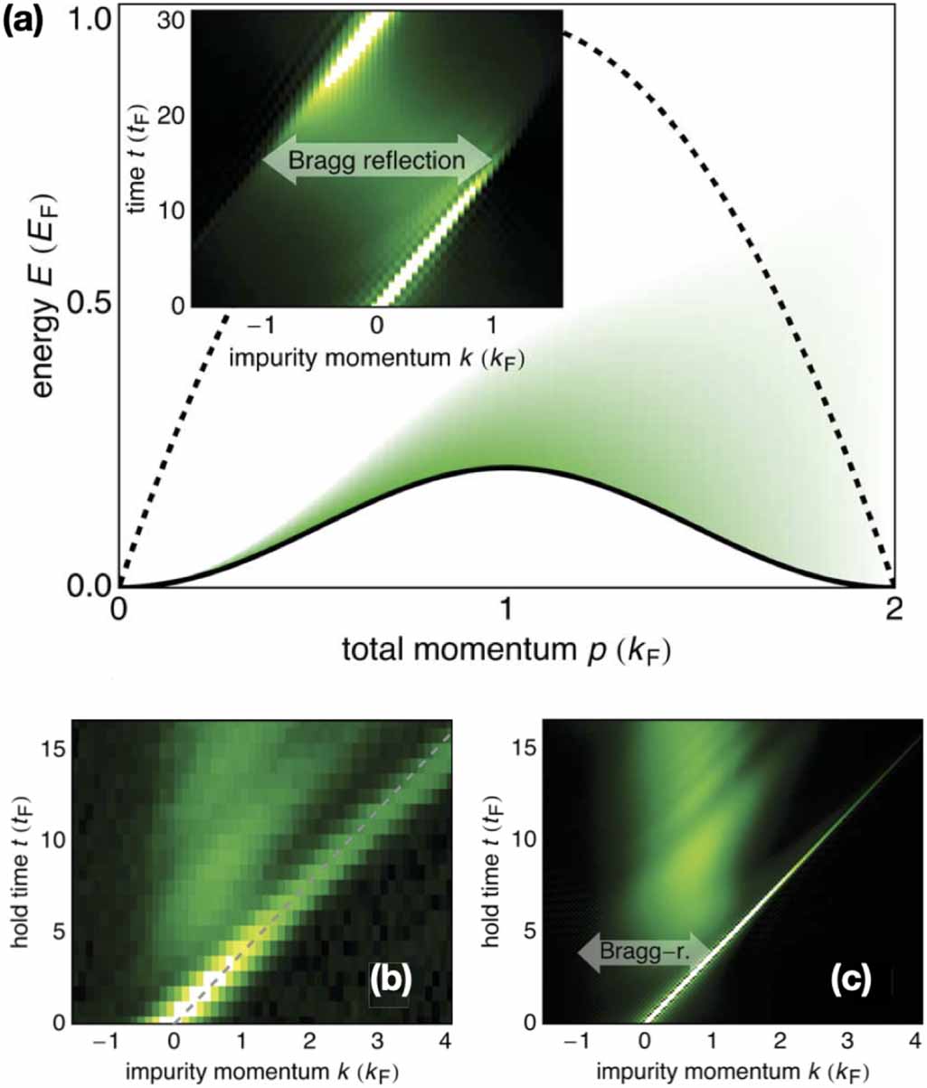 Impurities and polarons in bosonic quantum gases: a review