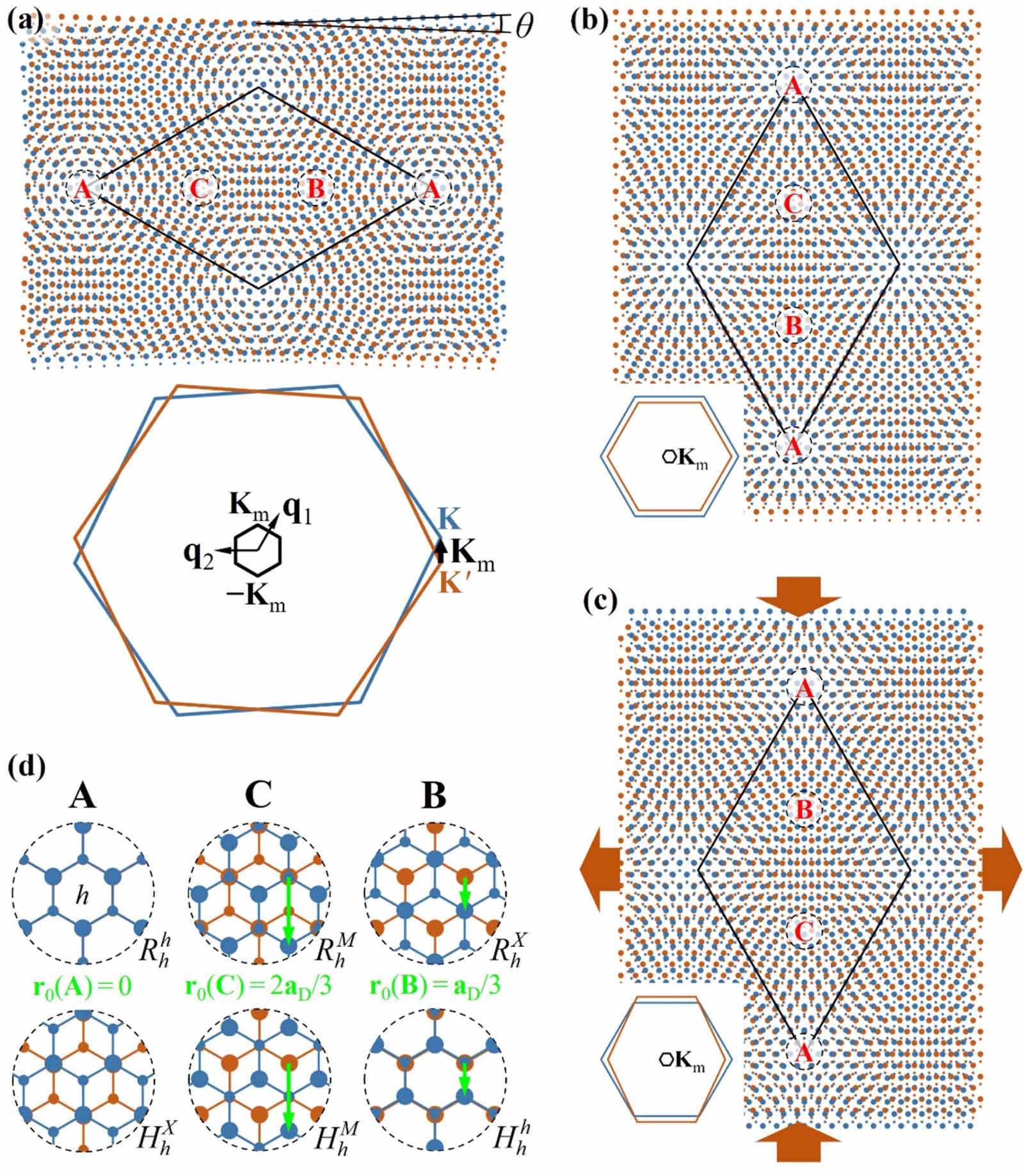 キャビテーション Twistronics and moiré superlattice physics in 2D transition metal
