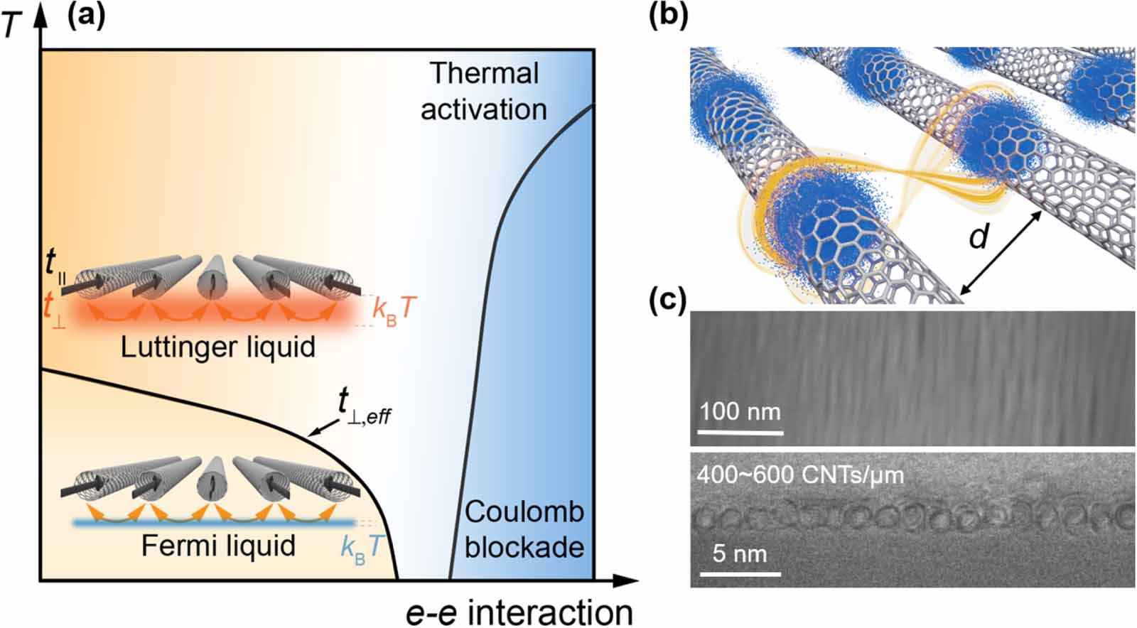 Dimensionality and correlation effects in coupled carbon nanotube