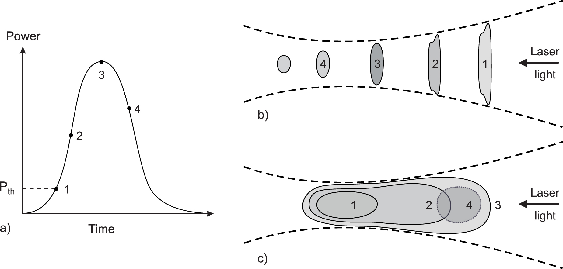 Laser-induced plasma formation and cavitation in water: from ...