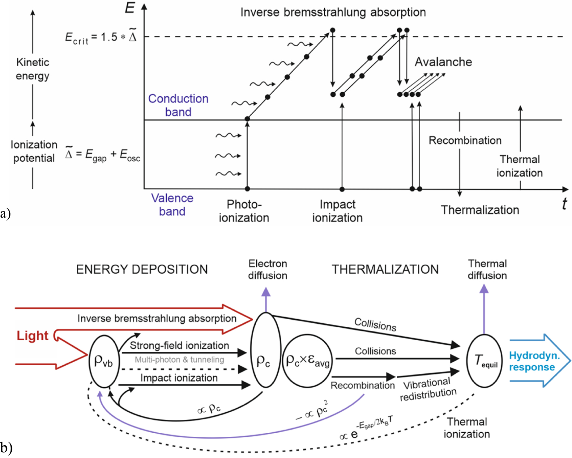 NM 専用 Frontiers | Physalin A Inhibits MAPK and NF-κB Signal