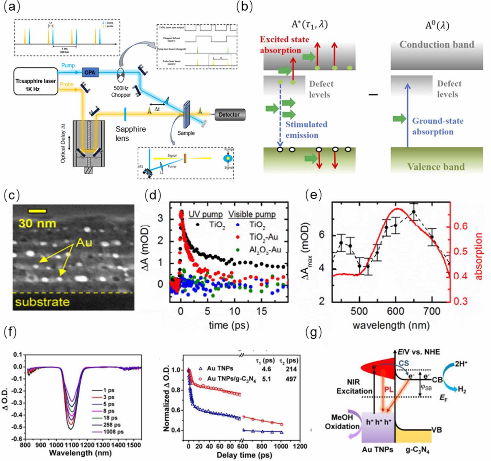 Plasmonic photoelectric detection engineering: basic principle