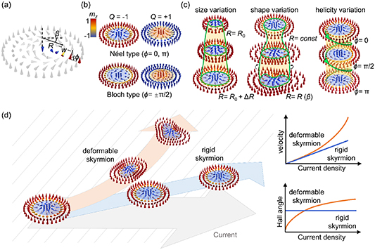 Dynamics of magnetic skyrmions under steady and time-varying