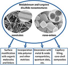 Nanocomposites based on tubular and onion nanostructures of