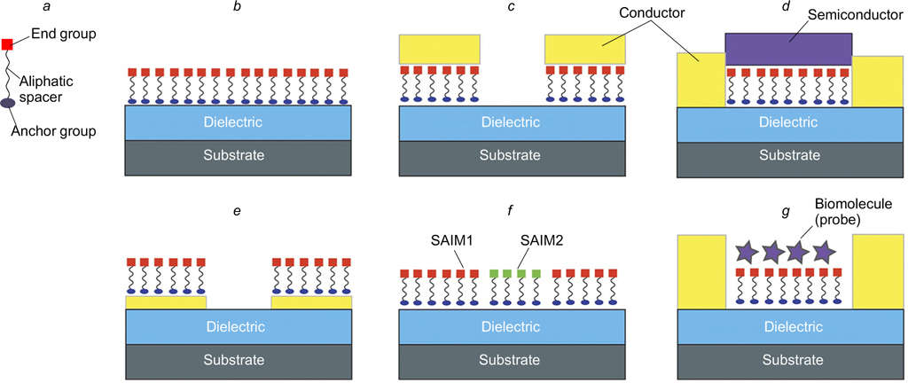 Self-assembled interface monolayers for organic and hybrid electronics ...