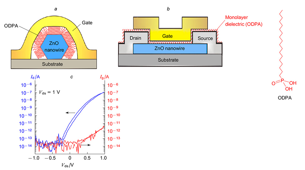 Self-assembled interface monolayers for organic and hybrid electronics ...