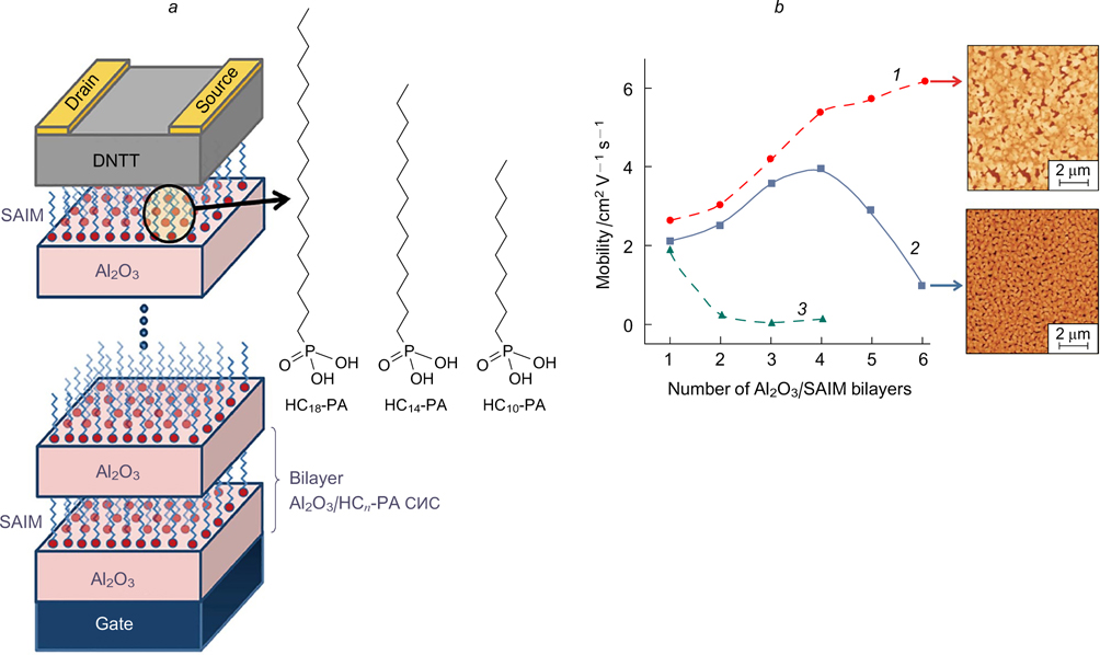 Self-assembled interface monolayers for organic and hybrid electronics ...