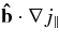 ${\bf\hat{b}}\cdot {\bm\nabla}j_\parallel$