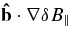 ${\bf\hat{b}}\cdot {\bm\nabla}\delta B_\parallel$