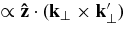 $\propto {\bf\hat{z}}\cdot ({{\bf k}}_{\perp }\times {{\bf k}}_{\perp }^{\prime })$
