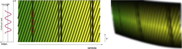Figure 3. Refer to the following caption and surrounding text.